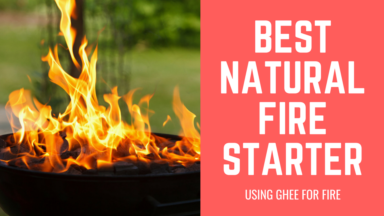 Best Natural Starter Fuel Pure Indian Foods Blog