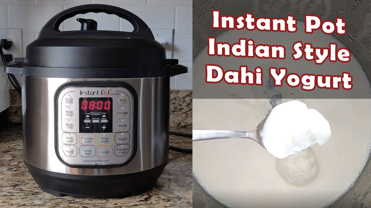 Homemade Indian Style Dahi Yogurt in Instant Pot - Pure Indian Foods Blog