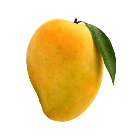 Mango: King of the fruits