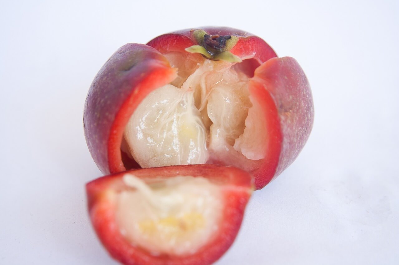 Organic Kokum Fruit
