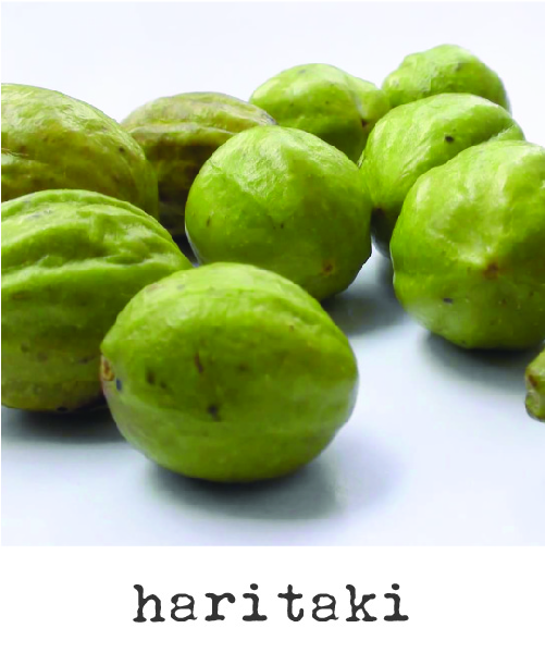 Triphala's third ingredient: haritaki fruite