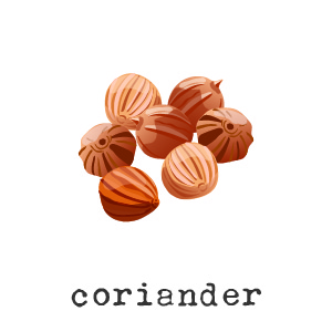 Organic Coriander