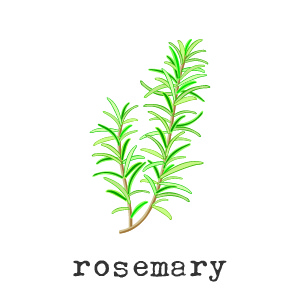Organic Rosemary